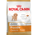 Royal Canin Poodle Junior